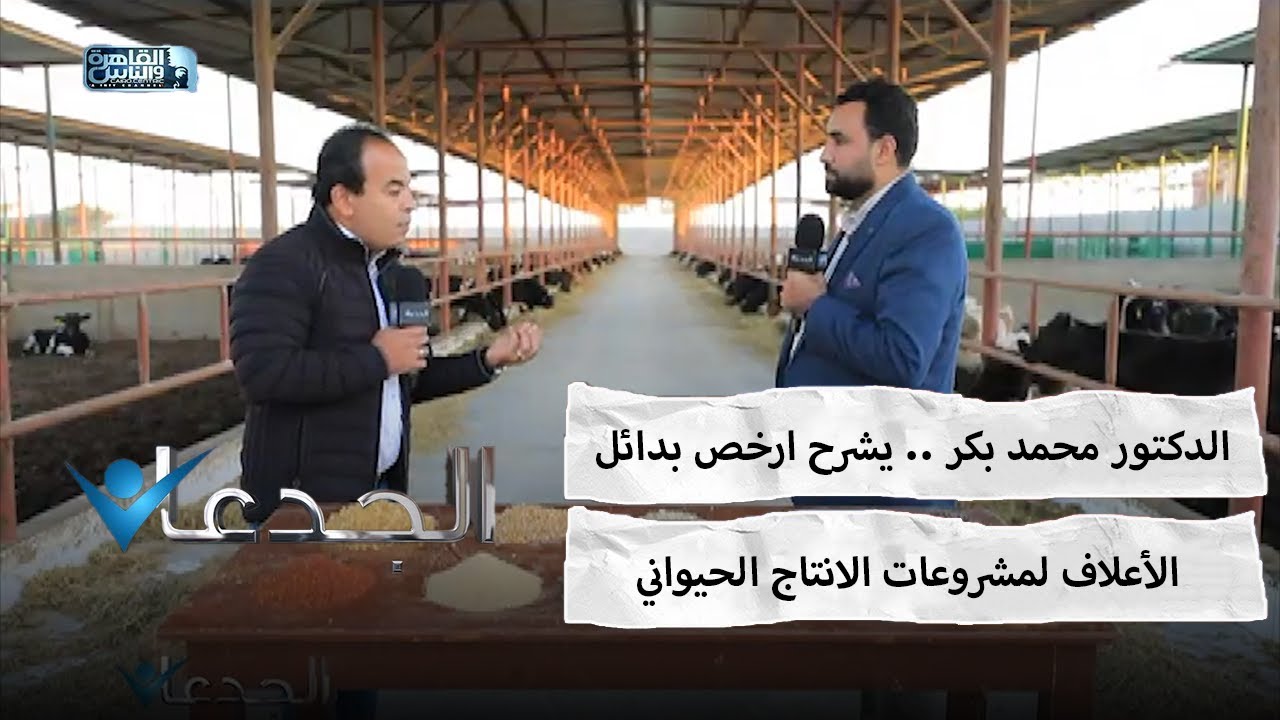 الدكتور محمد بكر .. يشرح ارخص بدائل الأعلاف لمشروعات الانتاج الحيواني