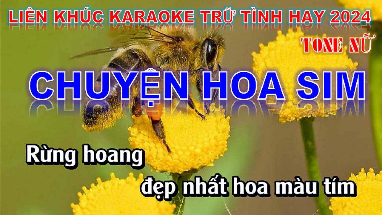 LIÊN KHÚC KARAOKE NHẠC TRỮ TÌNH TONE NỮ  HAY 2024 .CHUYỆN HOA SIM