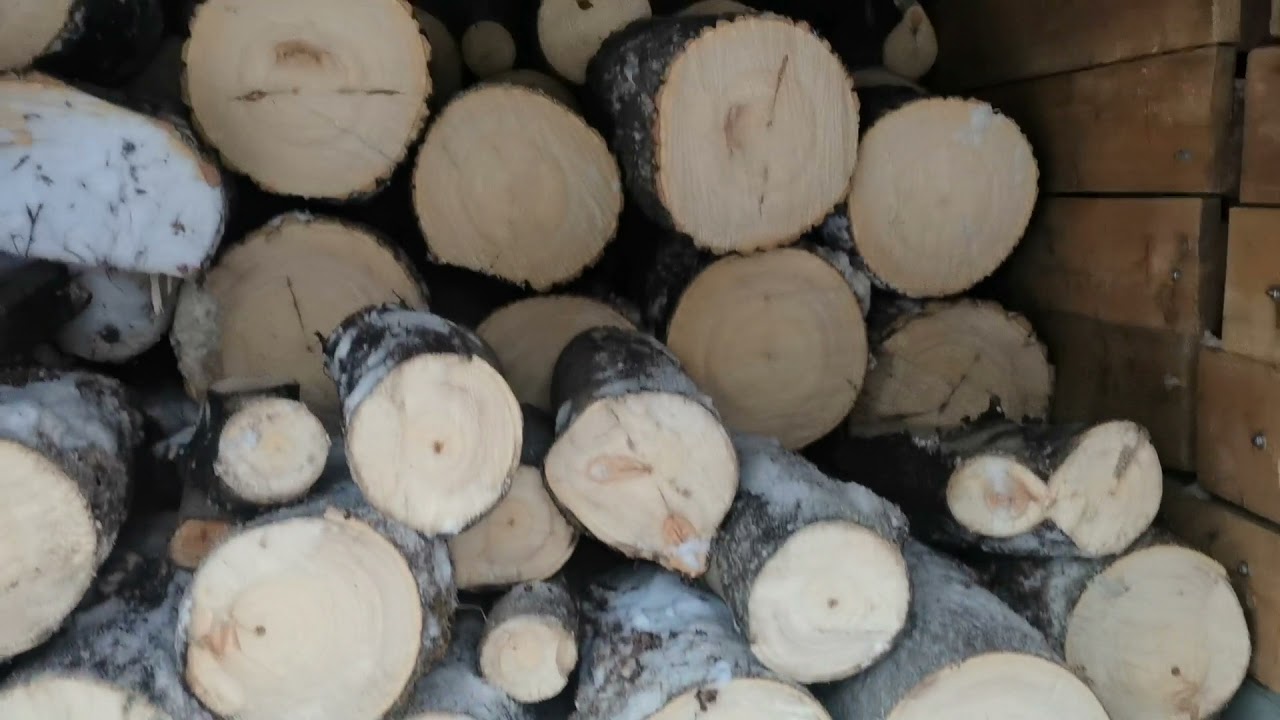 Husqvarna рвет цепи