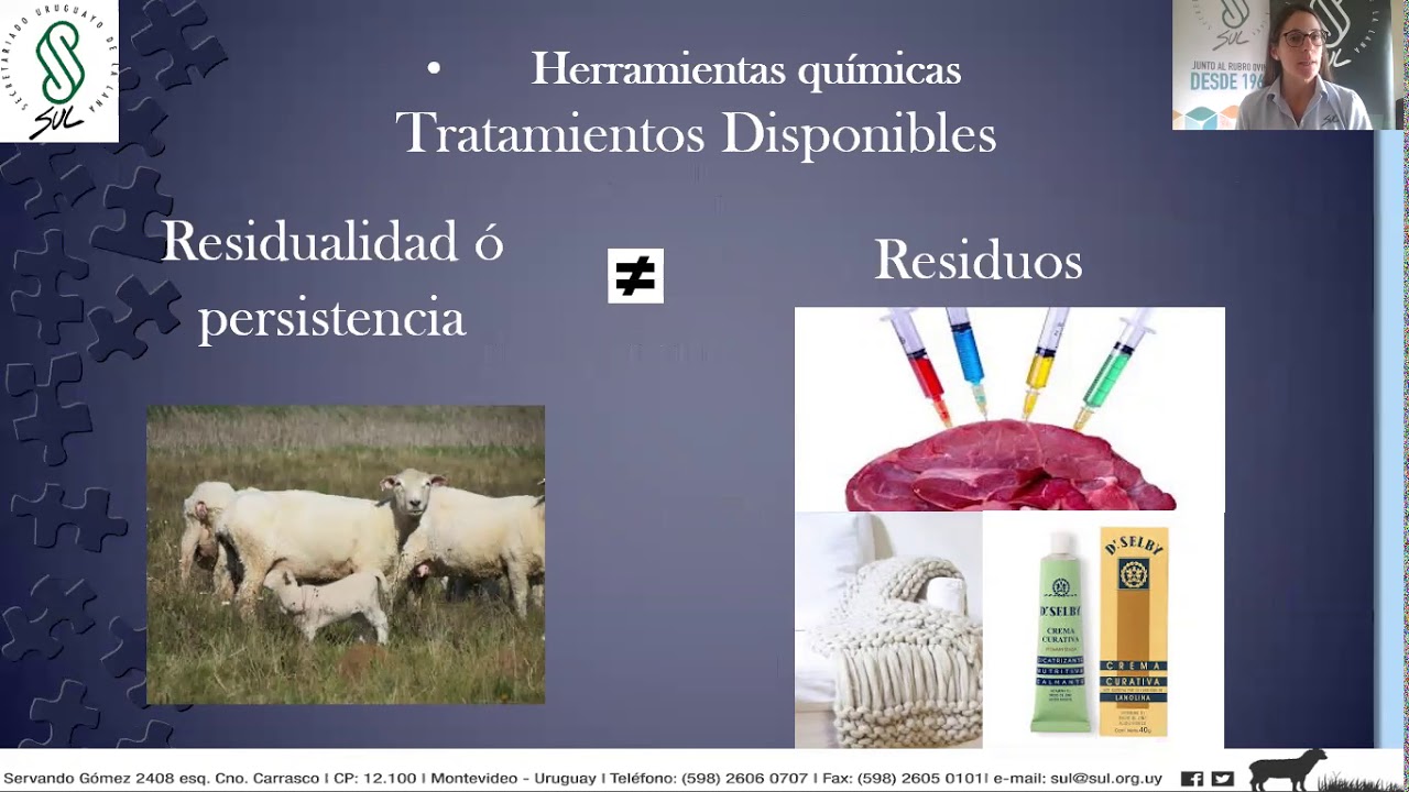 Puntos estratégicos para el control y erradicación del piojo - Dra. Sofía Salada