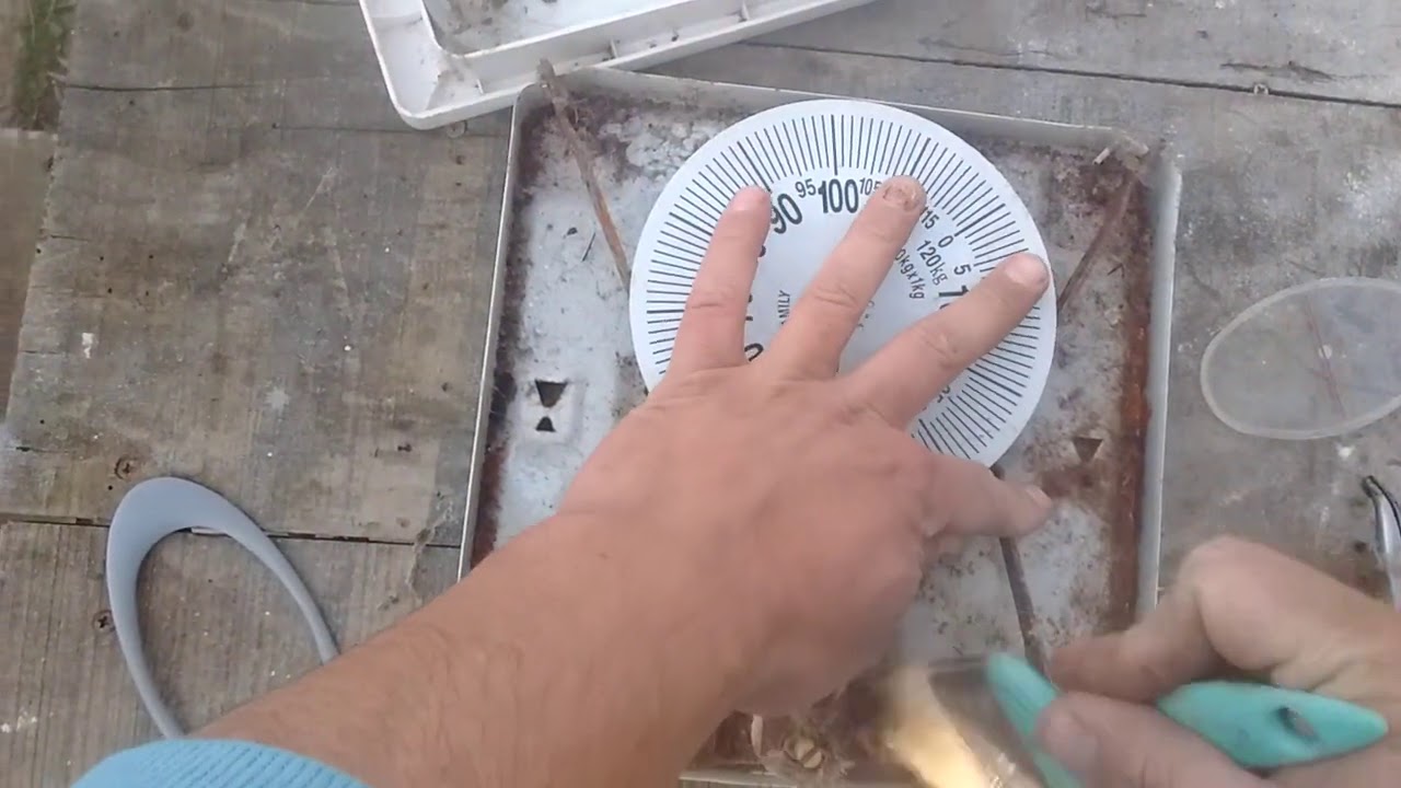 Reparación de balanza personal