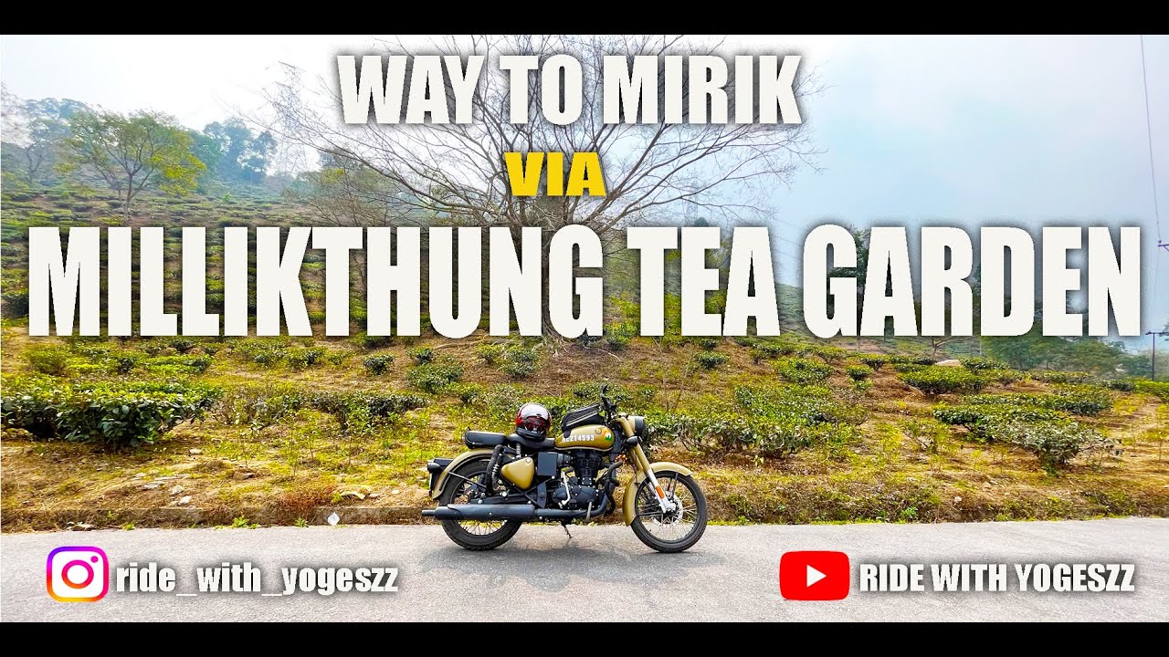 WAY TO MIRIK VIA DIFFERENT ROAD || MILLIKTHUNG TEA GARDEN || NOLDARA VILLAGE || OFF ROAD ADVENTURE