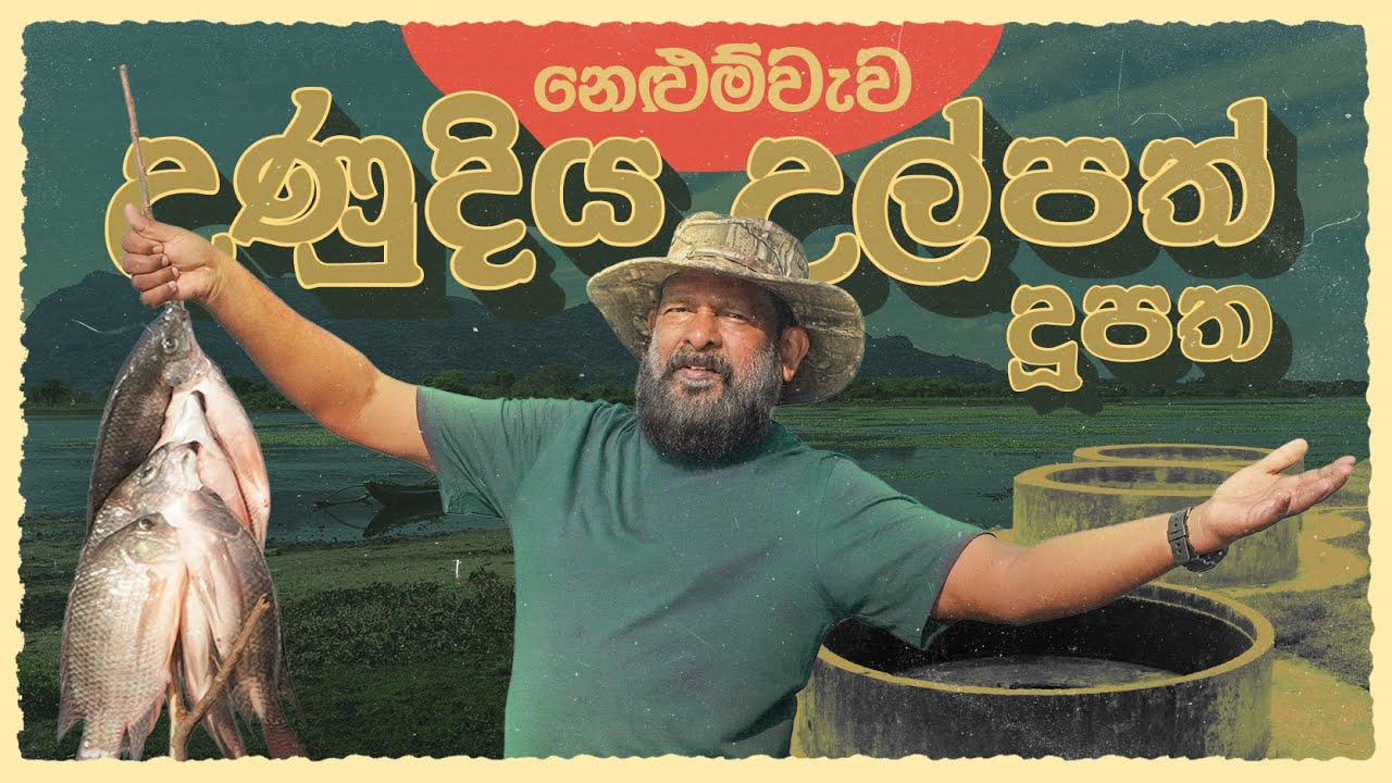 නෙළුම්වැව | යන්නම ඕන TRIP එකක් | Discover Nelumwewa | නිල් කුරුමිට්ටා එක්ක දැන් අල්ලපු වැව් මාලු