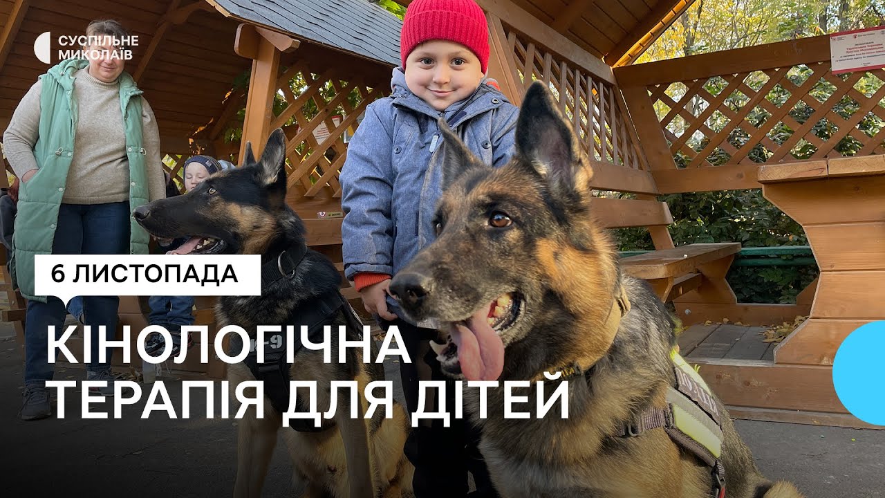 Чотирилапі терапевти: як собаки допомагають маленьким пацієнтам миколаївської лікарні