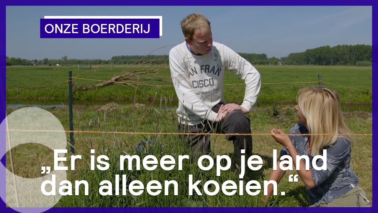 De liefde van boer Willem voor de weidevogel | Onze boerderij