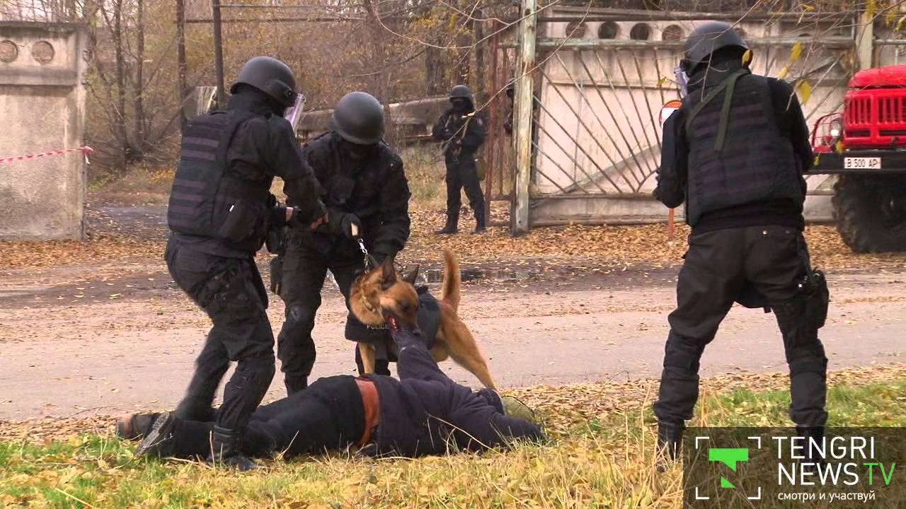 ''Террористы'' пытались захватить аэропорт под Алматы