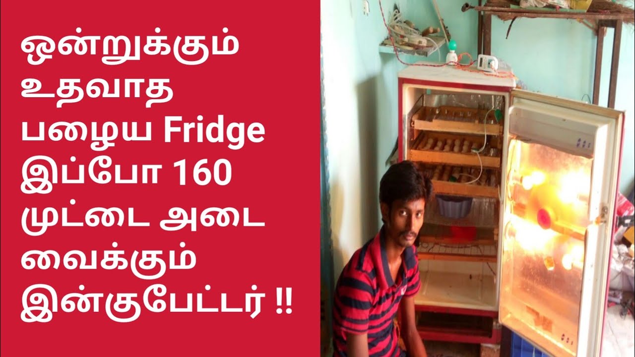 ஒன்றுக்கும் உதவாத பழைய Fridge இப்போ 160 முட்டை அடை வைக்கும் இன்குபேட்டர் !!