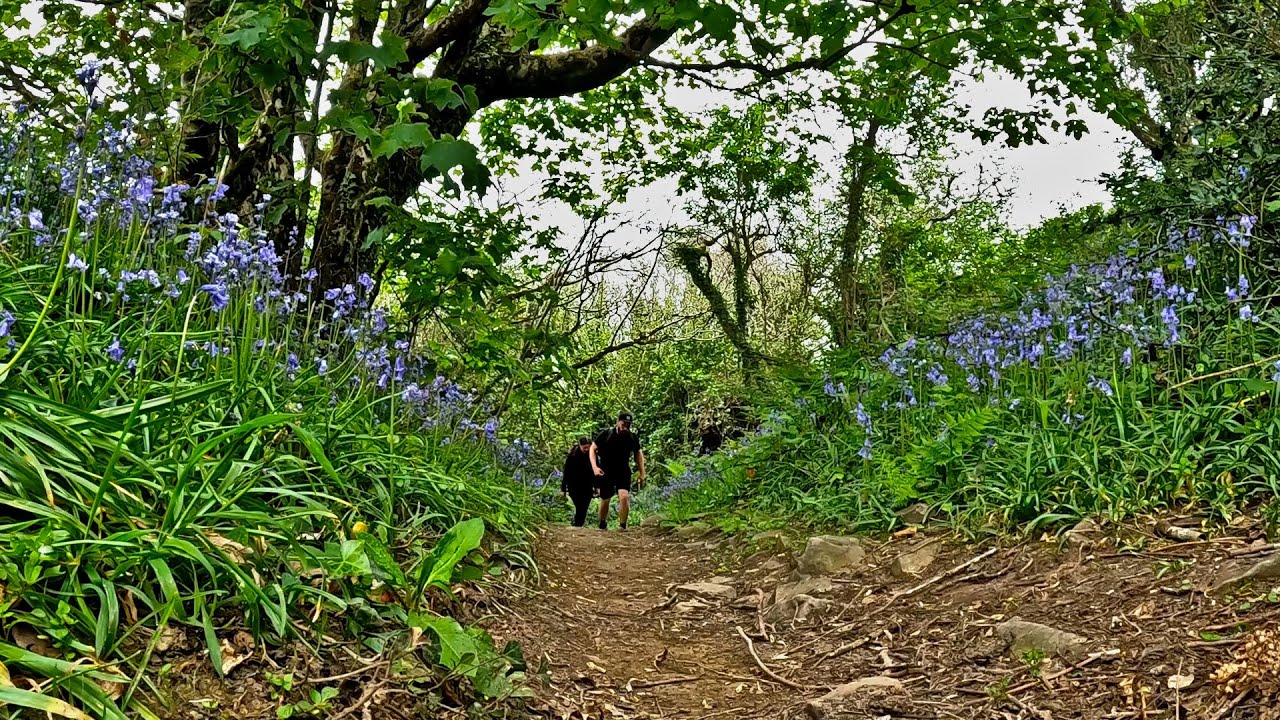 Walking the South West Coast Path - Part 8, Peppercombe to Clovelly