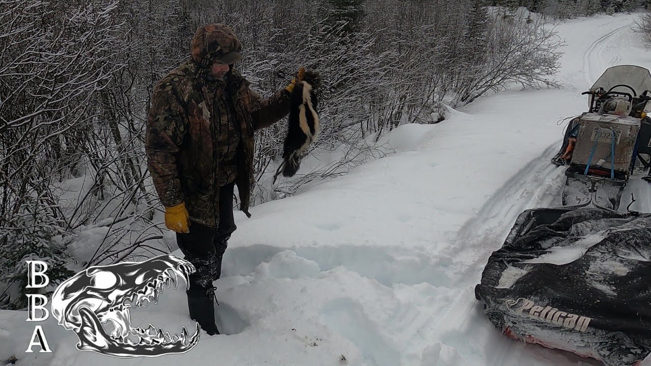 trapping the north cabin line prt 1