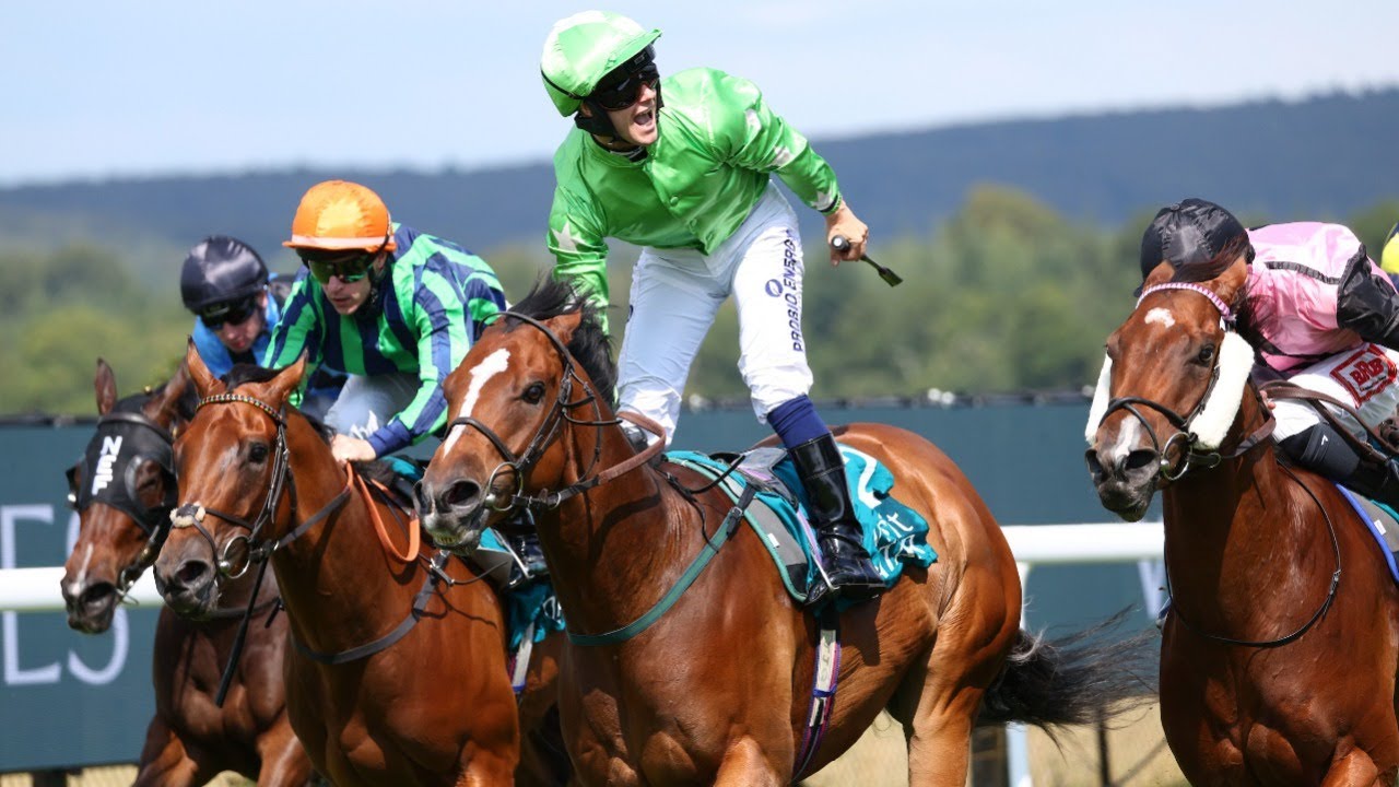 JM JUNGLE storms to King George Qatar Stakes glory