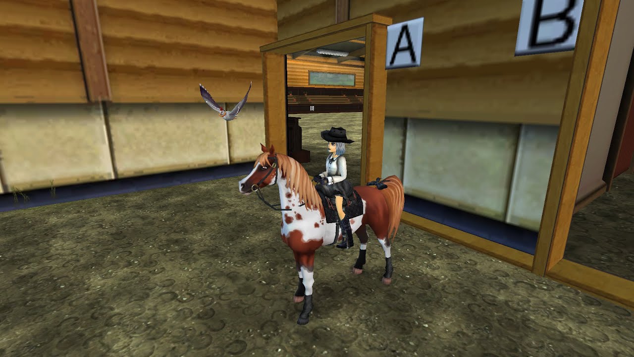 *Von Moorland zur Reitarena*