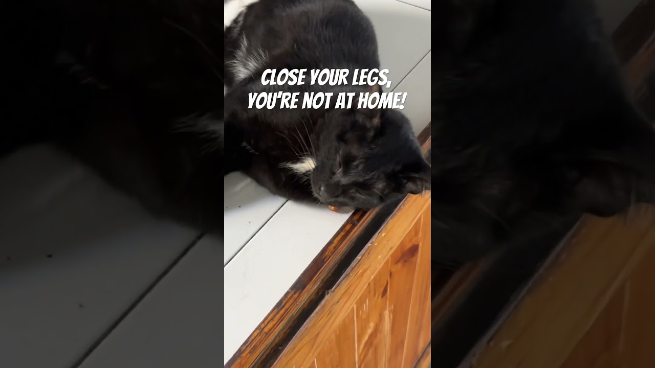 Close your legs, you’re not at home! 