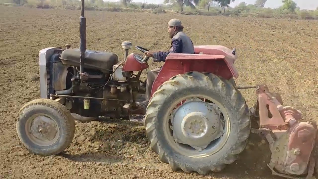 مسور کی کاشت Lentil Cultivation || Masoor ki kasht || Lentil Farming  Pulses || lentil Production