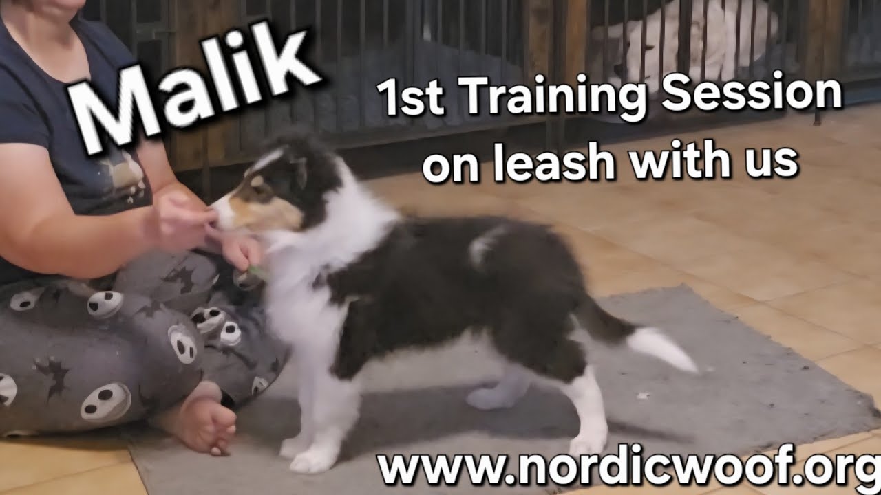 Malik 1st Training Session 
