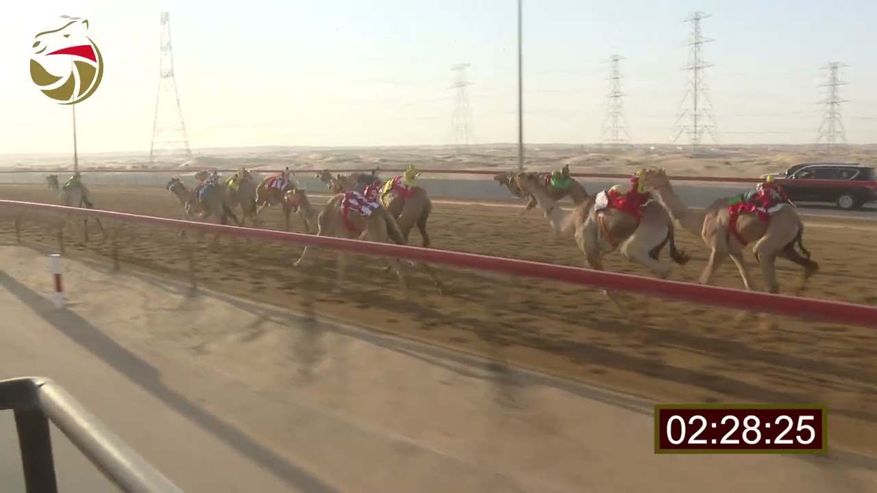 سباق الحقاقة – سيف العرب 30-01-2026 ش9 غنايم لـ حمد خليفه محمد سعيد الكعبي  5:58