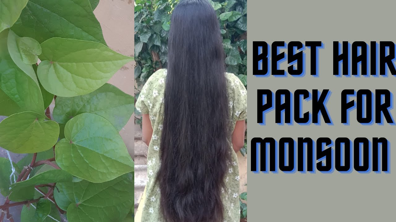 Stop Monsoon Hair Fall&Dandruff || Rainy season Hair care tips in tamil || Srihanee lifestyle