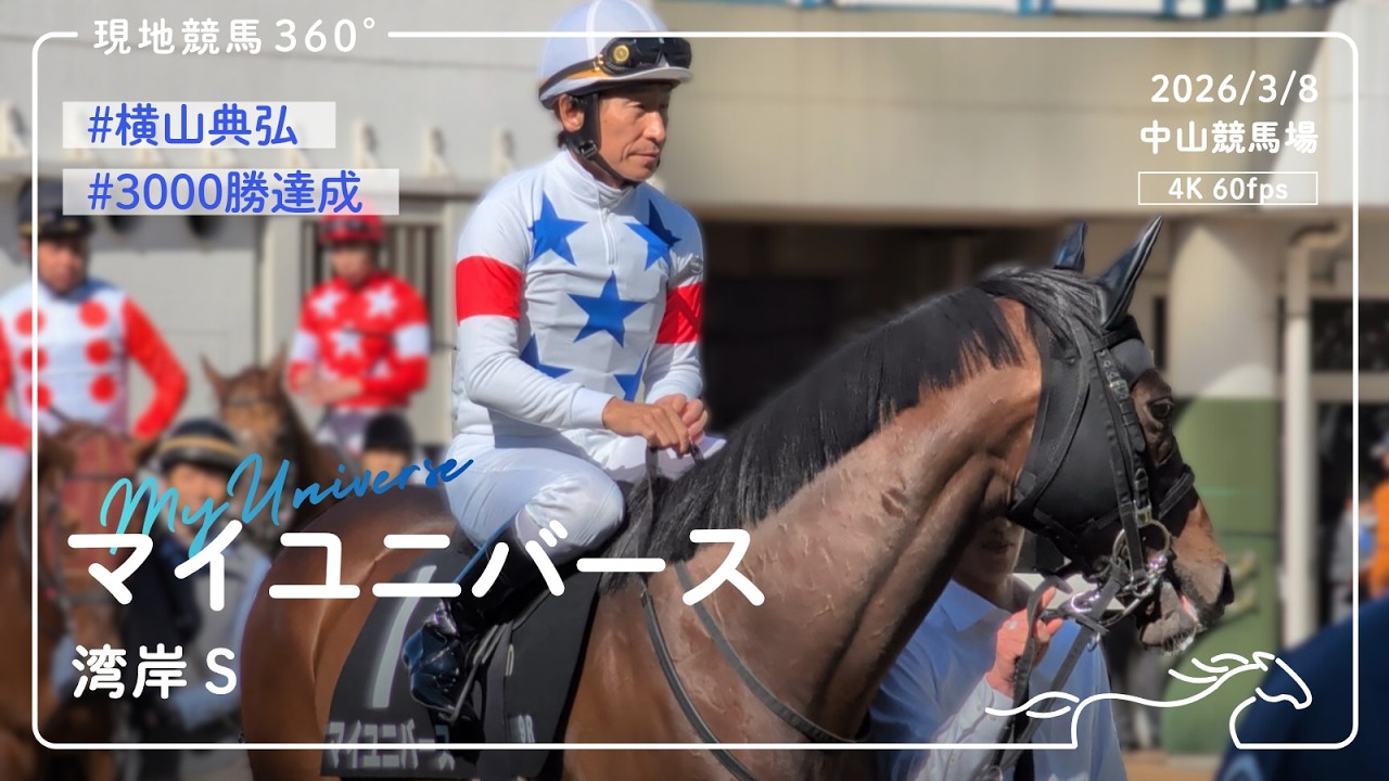 [ 3000勝達成 ] マイユニバース｜湾岸S パドック｜2026/3/8 中山競馬場｜4K/60fps