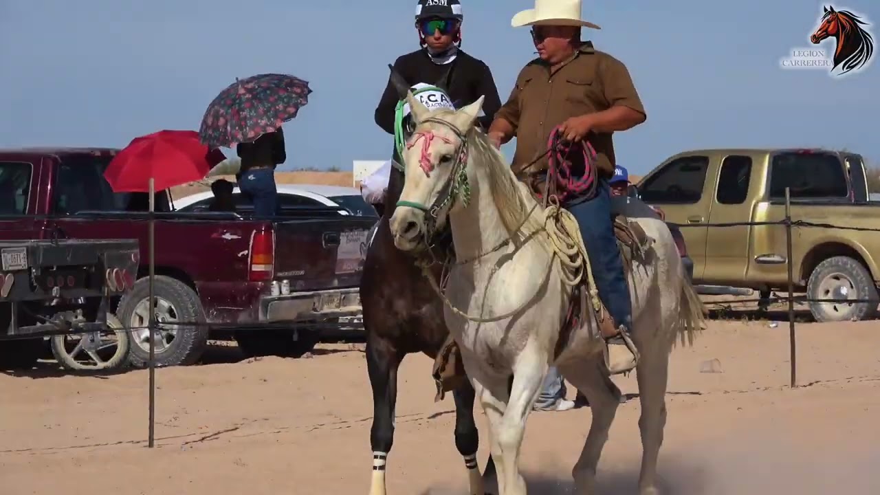 Puro durango 