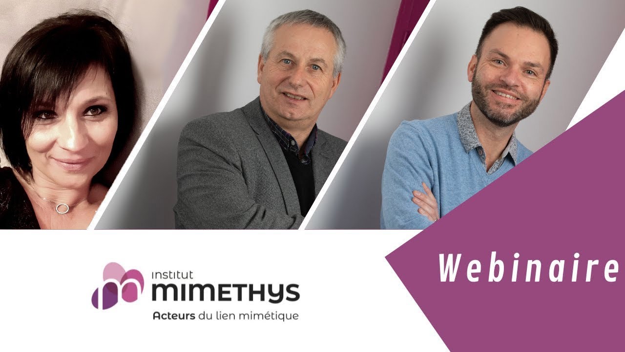 [ WEBINAIRE ] Quand le thérapeute que je suis rencontre le patient qui est en moi ....
