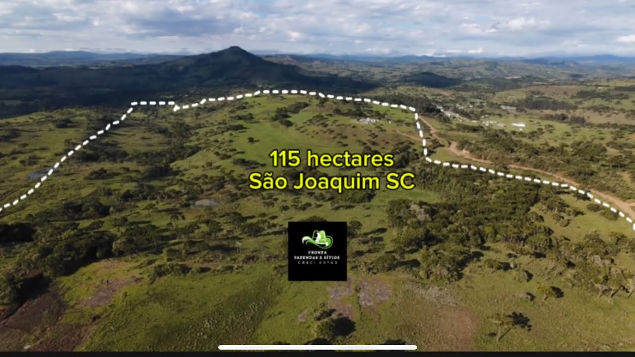 115 hectares, São Joaquim, 9.6 milhões 06/11/25, #fazenda #fazendasavenda 