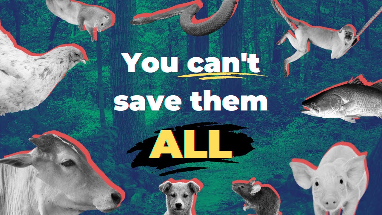 Veganism Is Not a Perfect Solution for Saving Animals