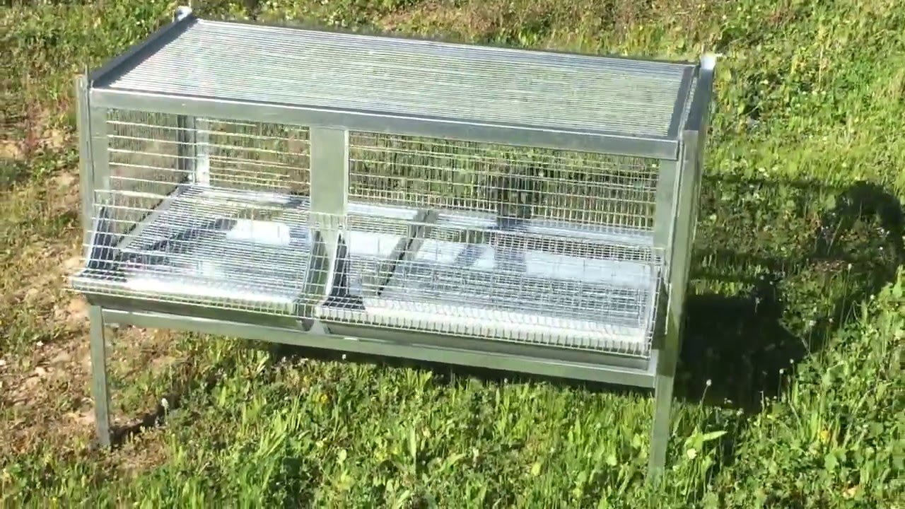 ZooPiro - Gabbia per Pulcini con rete antitopo