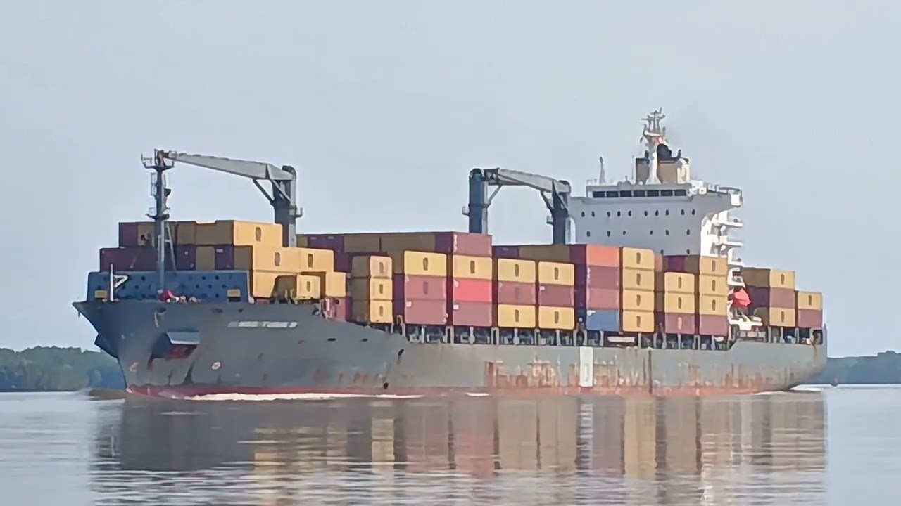 Container Ship {  MSC TURIN ||| (🇨🇾) }