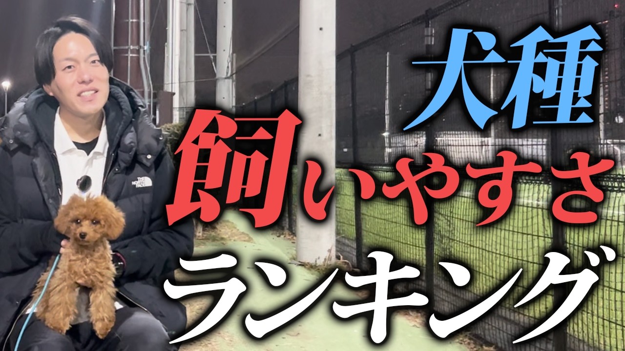 犬種ごとの
