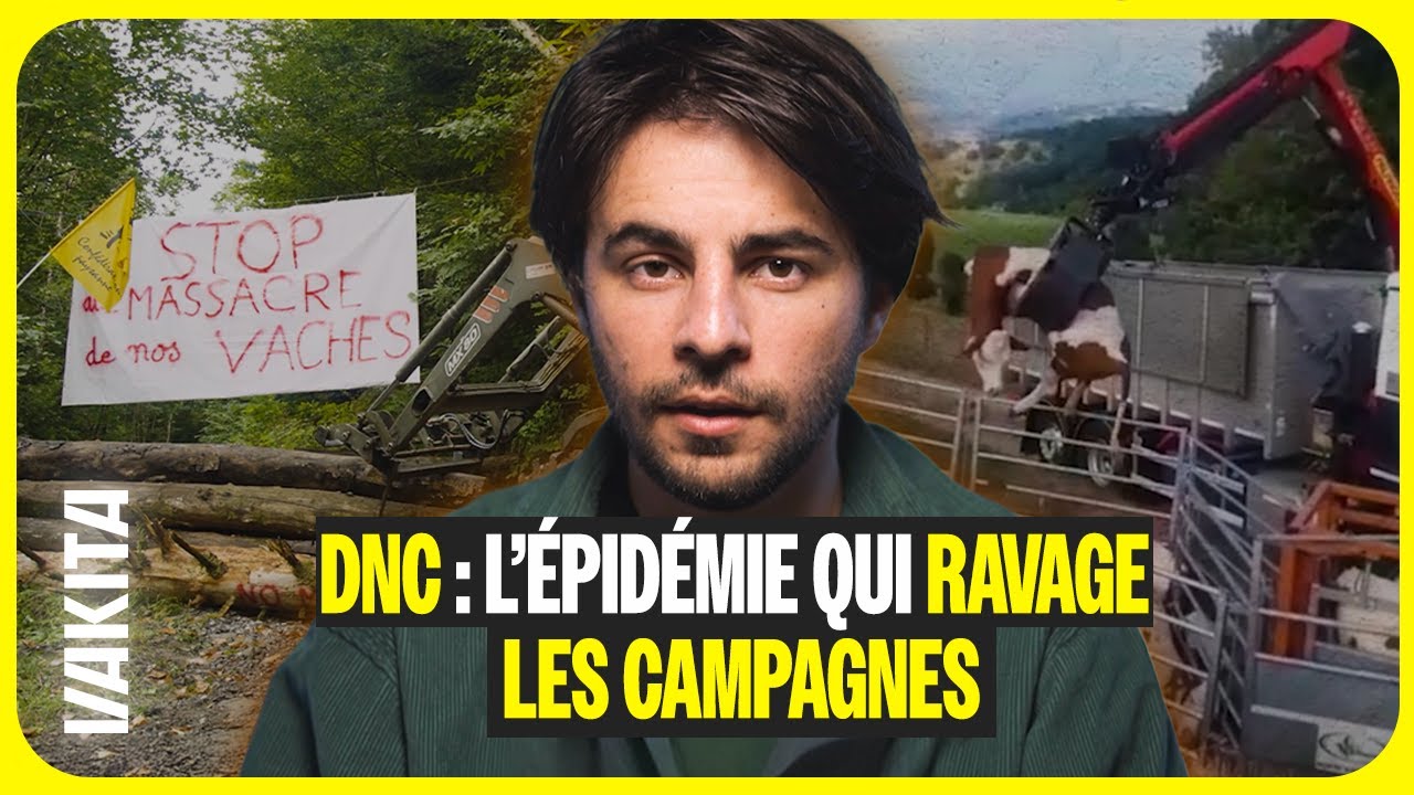 24h avec les agriculteurs qui luttent pour sauver leurs vaches