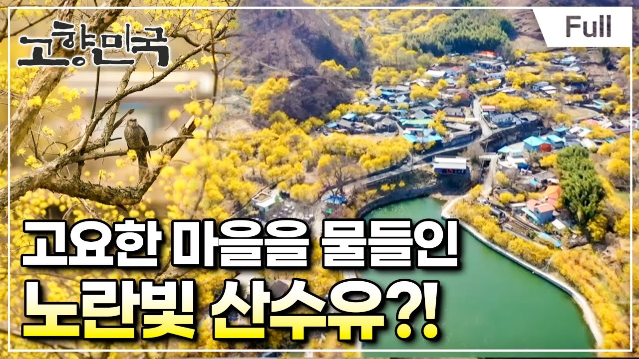 [Full] 고향민국 - 구례, 섬진강 따라 인생 따라