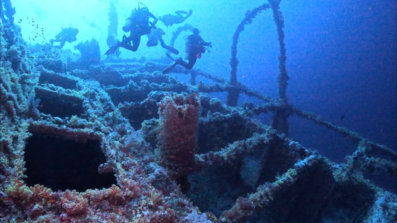 Diving Big Brother Island, Red Sea, Egypt, Sep-2025, 4k
