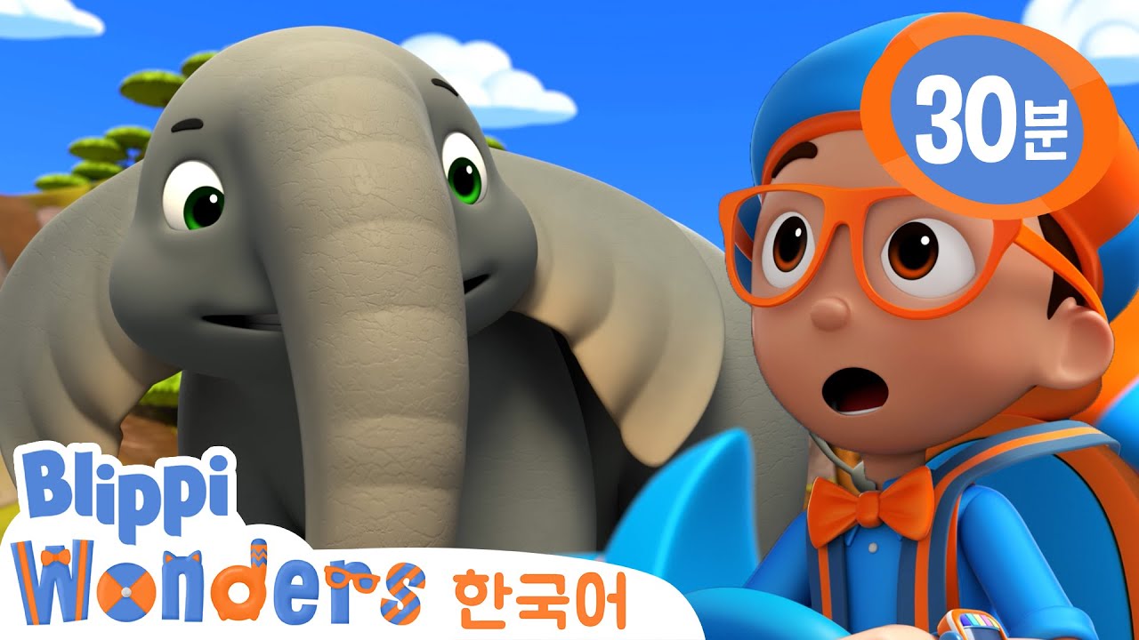 블리피는 