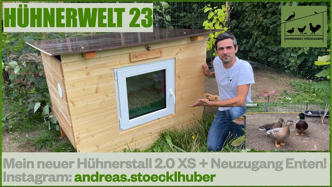 Hühnerwelt 23 Mein neuer Hühnerstall 2.0 XS + Meine Enten Neuzugänge (inkl. erster Teich) 8/2021