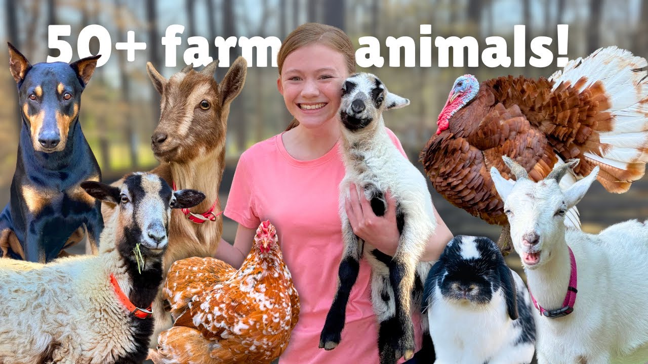 Meet ALL of my FARM ANIMALS!!! (Updated 2025)