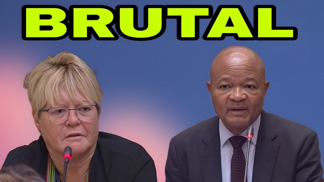 DA Glynnis Breytenbach Brutally Grill Senzo Mchunu about Corruption in Police.