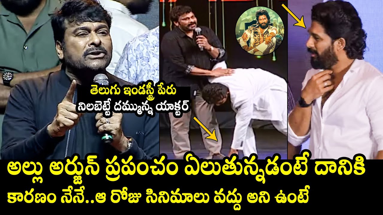 Megastar Chiranjeevi GOOSEBUMPS Words About Allu Arjun | National Best Actor Award | Pushpa | TD