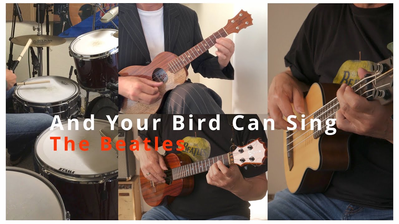 And Your Bird Can Sing - The Beatles - ukulele song cover feat. MariUS