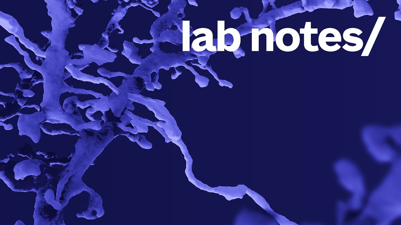 Lab Notes | The Digital Brain: Unlocking the mind's digital twin