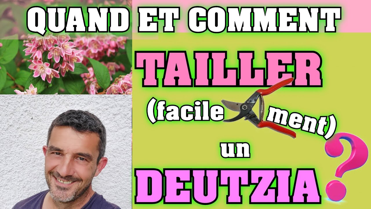Quand et comment tailler facilement un arbuste à floraison printanière ? [ Deutzia ]