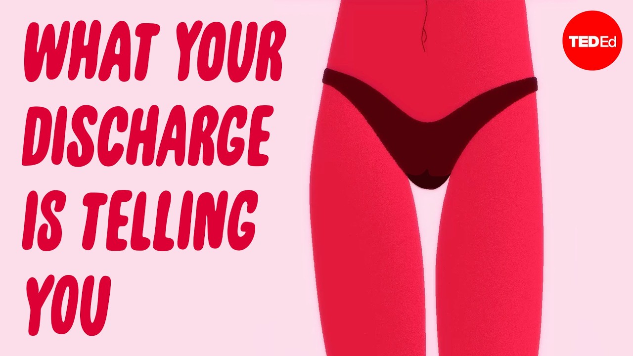 What is vaginal discharge, and what does it say about your health? - Elizabeth Micks