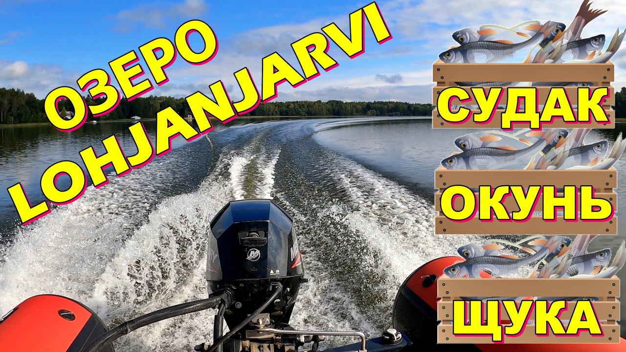 Ловля Окуня в Финляндии. Озеро Lohjanjärvi. Оснастка Фри Риг и Каролина Риг