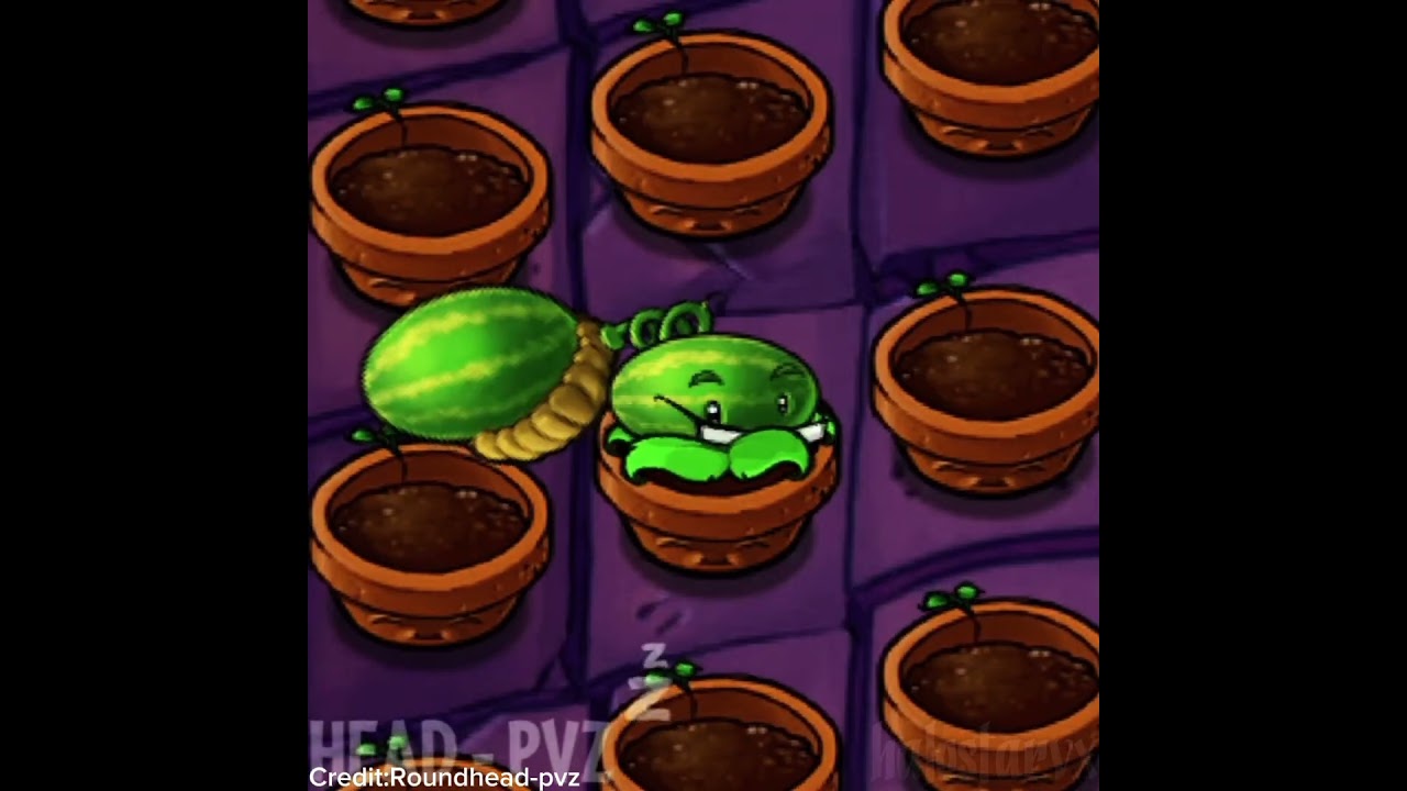 Momments before crazy🗿💀🔥(credit:@Roundhead-PvZ ) #pvz #pvzmobile #mobilegame #pvzgameplay