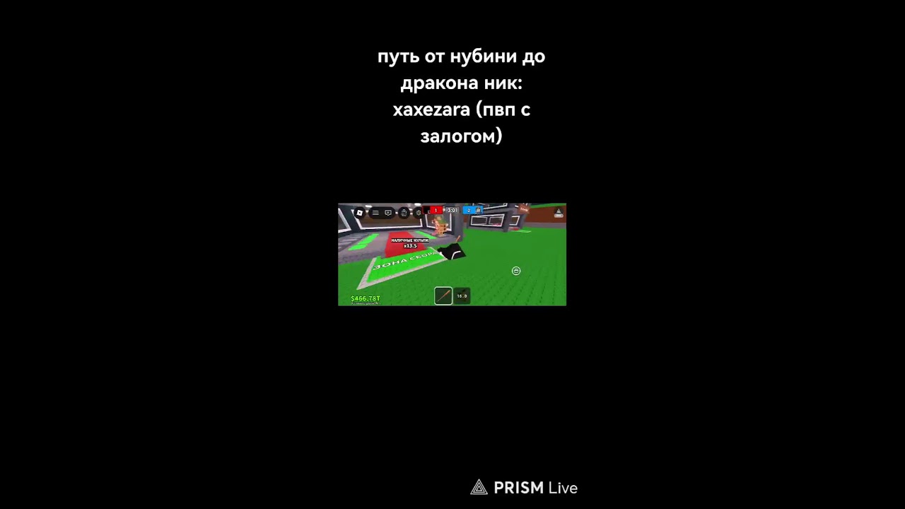 играю в укради брайрот трейды