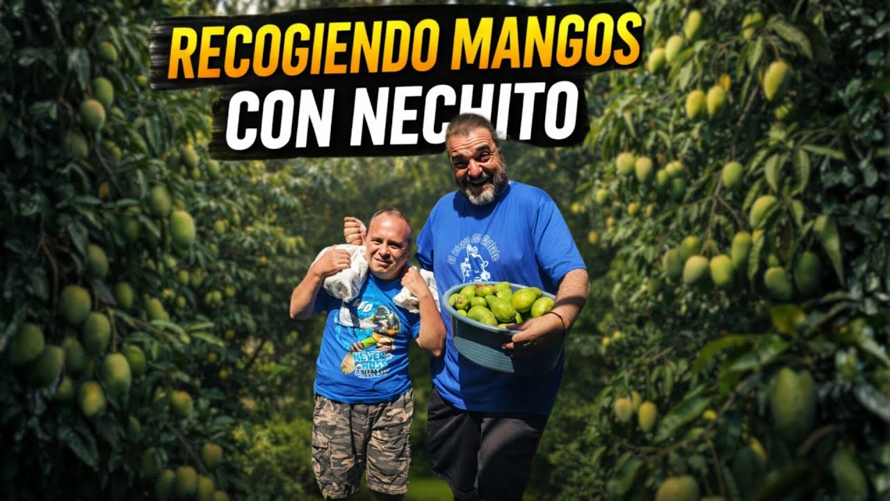 Llenaremos el Costal de Mangos con Nechito?
