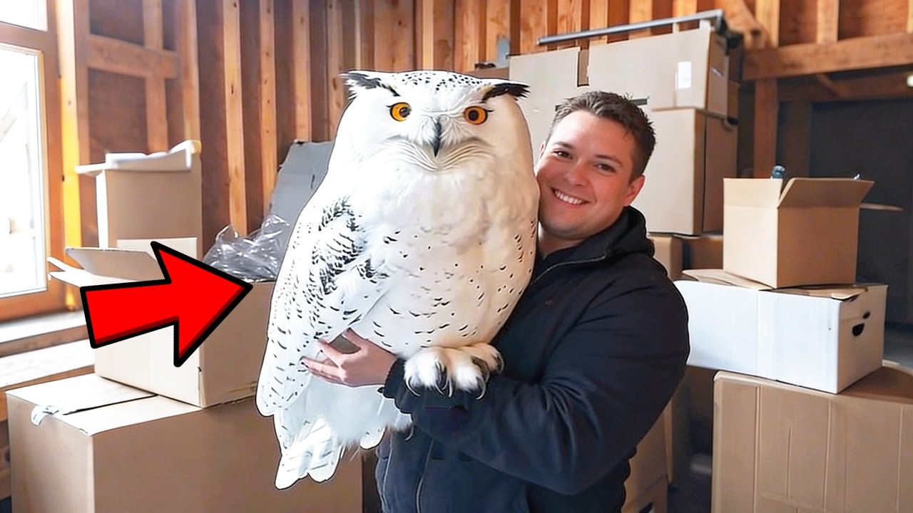 Man Rescued an Orphaned Bird — Years Later, It Found Its Way Back