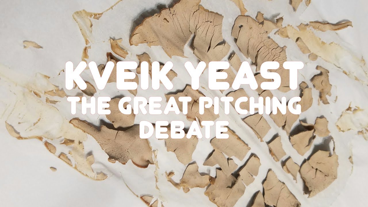 Kveik Yeast   The Great Pitching Rate Debate