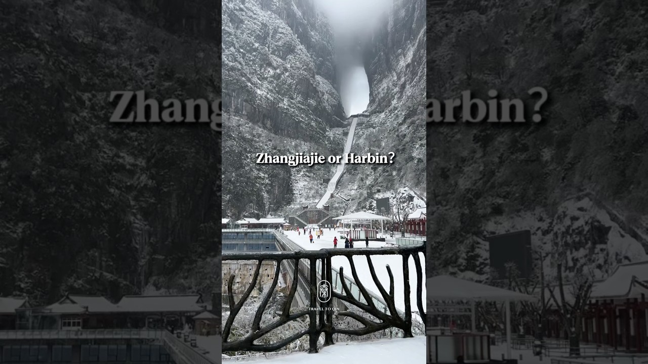 How to explore Zhangjiajie in Winter?#Chinatravel#tour#zhangjiajie#resort#daytour#china