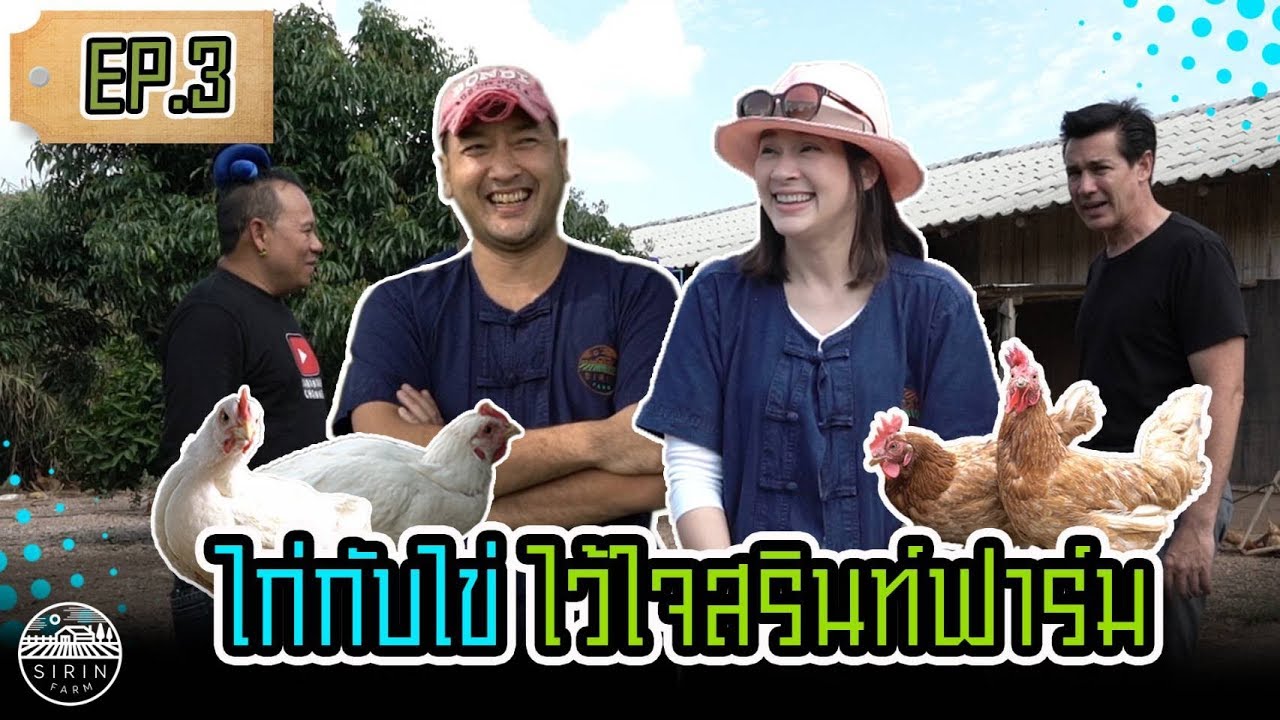 เรื่องไก่กับไข่ ไว้ใจสิรินทร์ฟาร์ม - Best Organic Eggs & Free Range Chicken - Sirin Farm - EP. 3