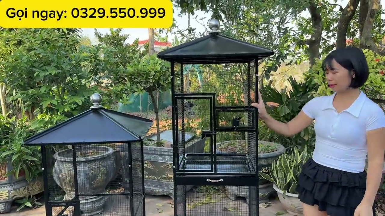 2 mẫu avi rẻ nhất đẹp nhất bán chạy nhất