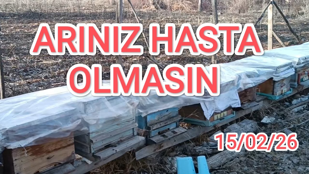ŞUBAT SICAKLARINA ALDANMA.! SICAKLIK 12°NİN ÜZERİ OLMADIKÇA YAVRU KONTROLÜ YAPMADA ACELE ETMEYİN.